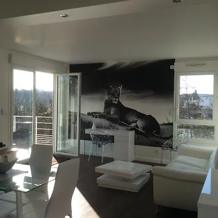Grafova Appartement Tours